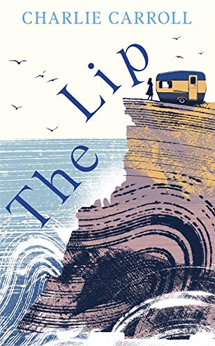 Book cover: coastal cliff, waves, campervan, and a lone figure.