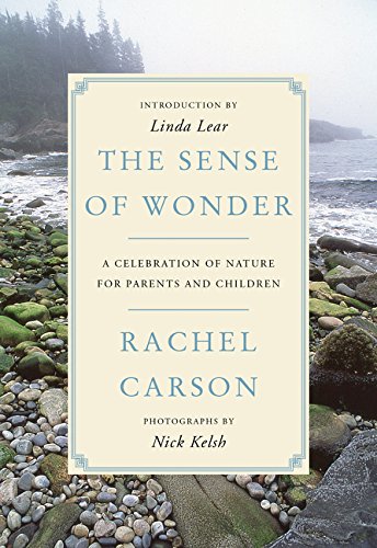 Book cover for The Sense of Wonder by Rachel Carson featuring a rocky coastline.