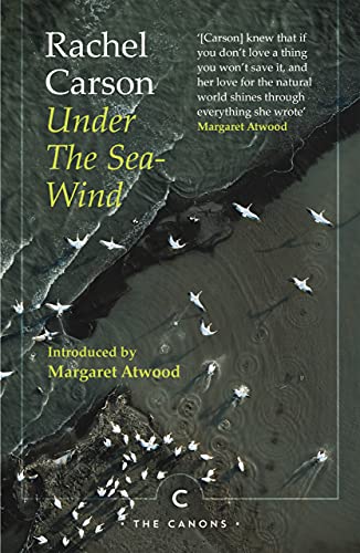 Book cover: "Under the Sea-Wind" by Rachel Carson with birds over water.