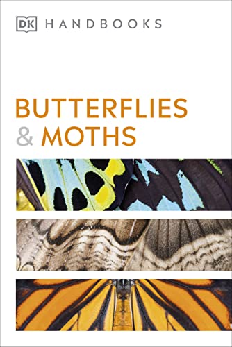 Book cover titled Butterflies and Moths showing close-up patterns of colorful insect wings.