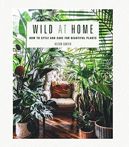 Book cover titled Wild at Home featuring an armchair surrounded by many indoor plants.