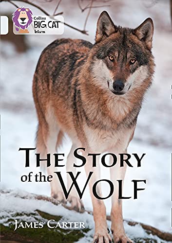 Book cover featuring a close-up of a grey wolf in a snowy landscape.