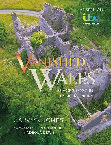 Ruins of a stone castle overgrown with greenery, book cover image.