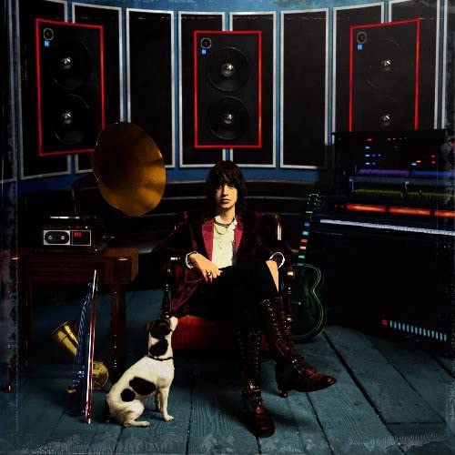 Casablancas,julian - Phrazes For The Young  [VINYL]