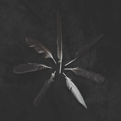 Six feathers arranged in a star pattern against a dark, textured background.