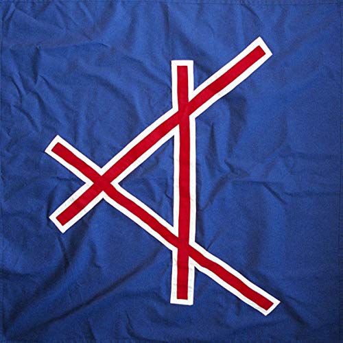 A blue vinyl record sleeve featuring a red, white-outlined symbol.
