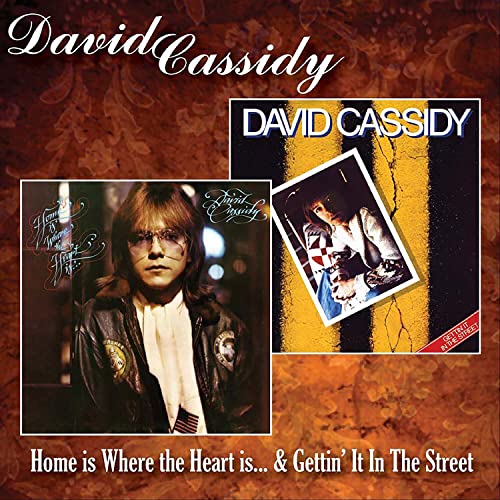 CD cover featuring two David Cassidy album artworks against a floral brown background.