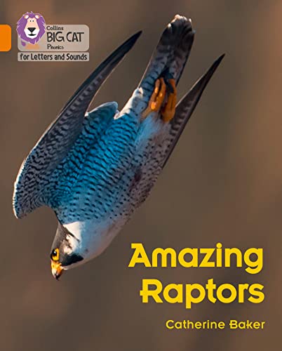 Book cover featuring a close-up of a peregrine falcon in flight.