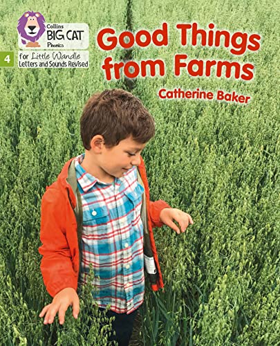 A young boy in an orange jacket standing in a green field of crops.