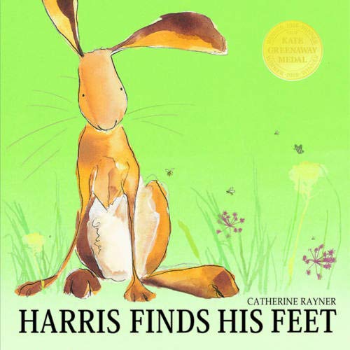 Illustration of a brown hare standing in green grass with wildflowers.