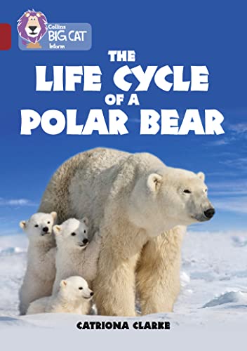 Book cover: polar bear mother with three cubs in snowy landscape.