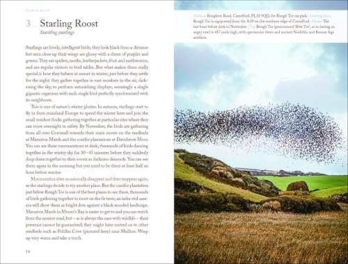 Open book page showing a swirling flock of starlings over a Cornish hillside.