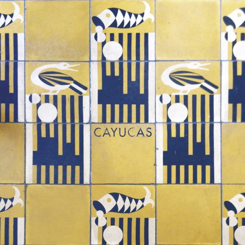 Yellow and blue grid pattern featuring fish, birds, and the word Cayucas.