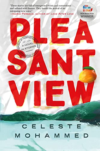 Book cover for "Pleasantview" with red text, an orange, and a blurred landscape.