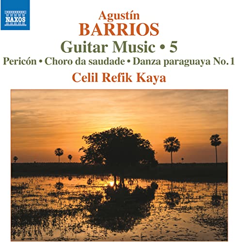 CD cover for Agustín Barrios’ Guitar Music 5, with sunset landscape.
