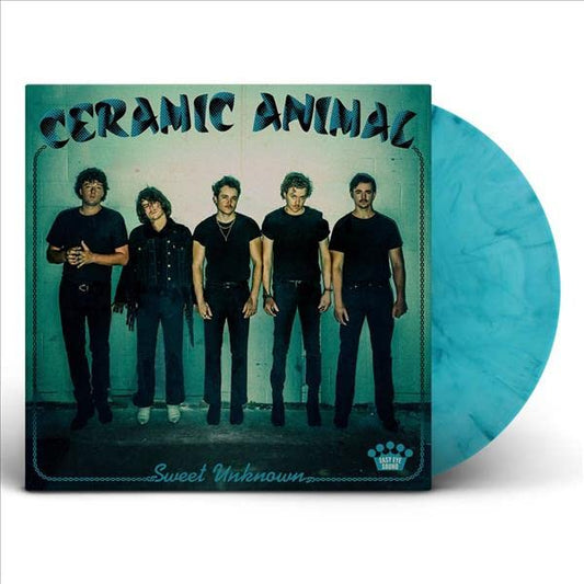 Vinyl record cover featuring a band portrait and teal color scheme.