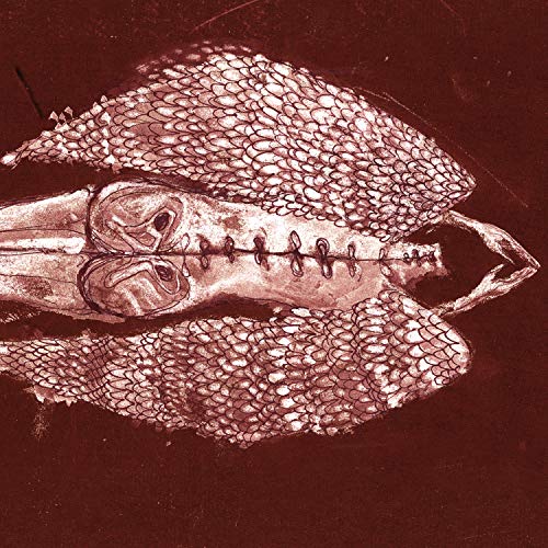 A dark red illustration of a winged creature with a stitched, skull-like torso.