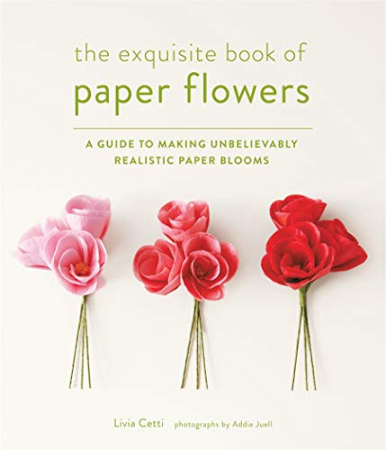 Book cover featuring three realistic, handmade paper flowers in pink and red.