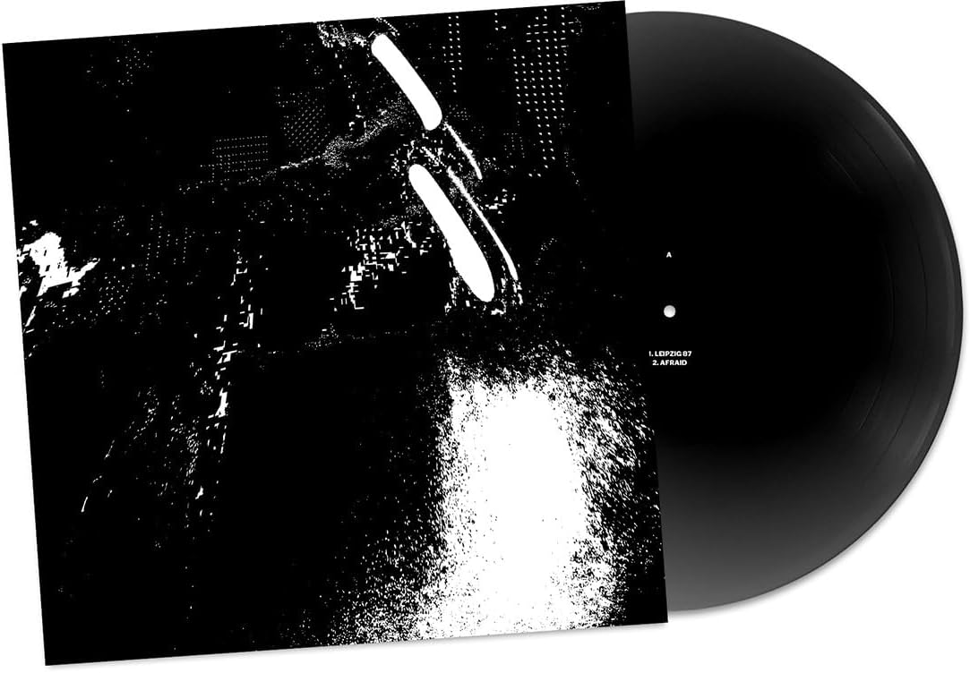 Black vinyl record with abstract white and grey patterned album cover.
