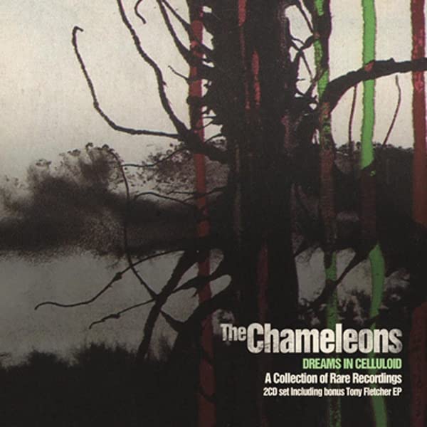 CD cover for The Chameleons’ “Dreams In Celluloid” with bare tree branches.