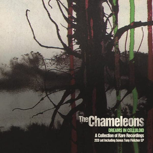 CD cover for The Chameleons’ “Dreams In Celluloid” with bare tree branches.