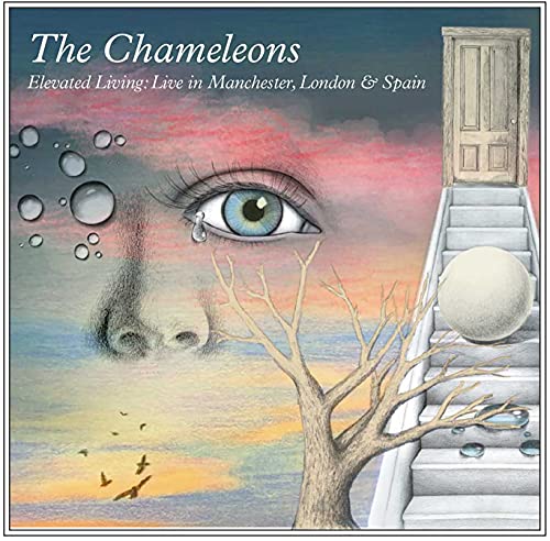 CD cover: eye, stairs, tree, and abstract shapes in muted colors.