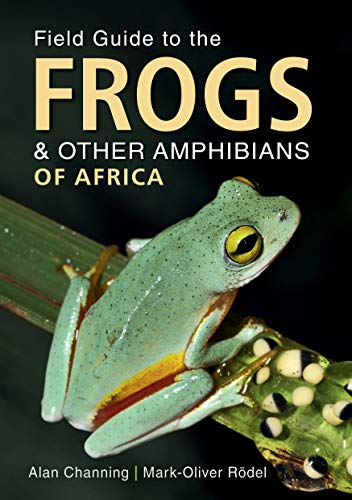 Book cover featuring a green frog with yellow eyes, titled “Field Guide to Frogs.”