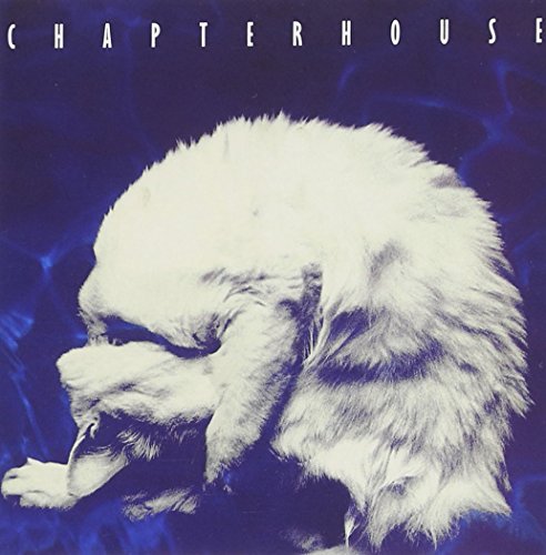 The image is a blue-toned album cover featuring a curled-up white cat.