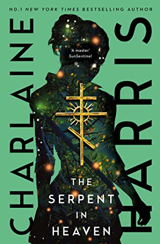 Book cover: woman’s back filled with stars and a golden cross.