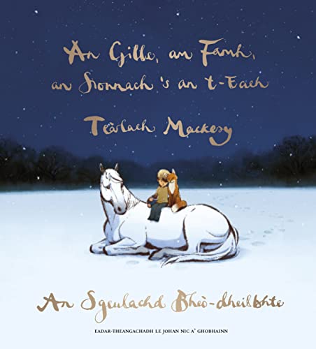 Book cover: boy and fox riding a white horse under a night sky.