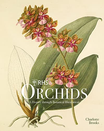 Book cover featuring a botanical illustration of an orchid with spotted petals and leaves.
