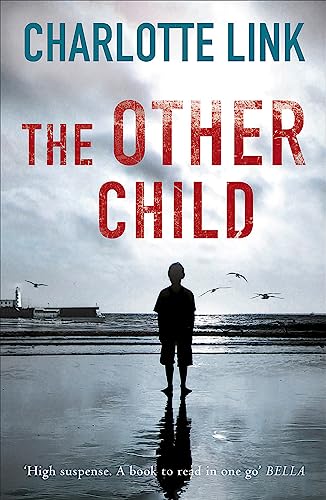 Book cover: silhouetted boy on beach, stormy sky, red title text.