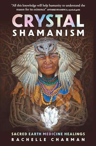 Book cover featuring an illustrated shaman with crystals and wings.