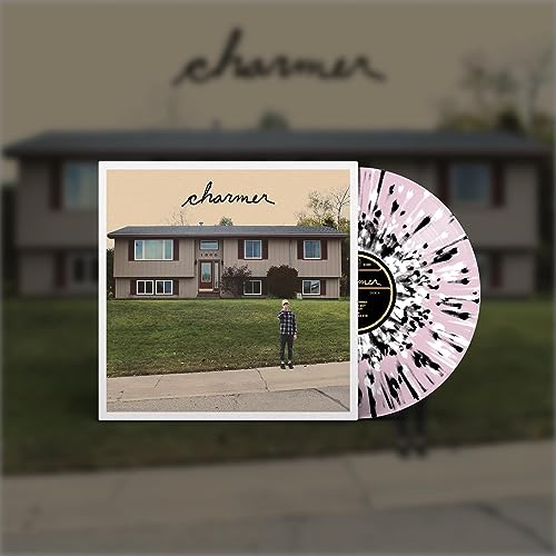 Vinyl record with album cover featuring a house and a person.
