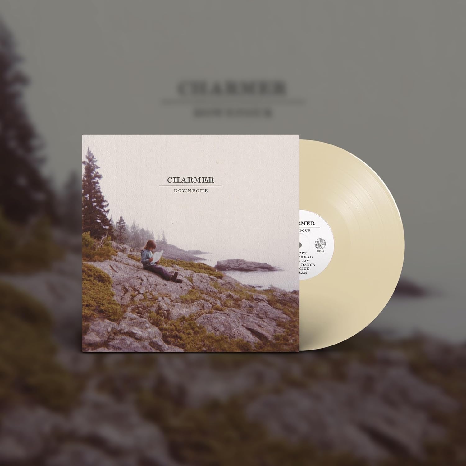 A vinyl record jacket featuring the Charmer Downpour album artwork.