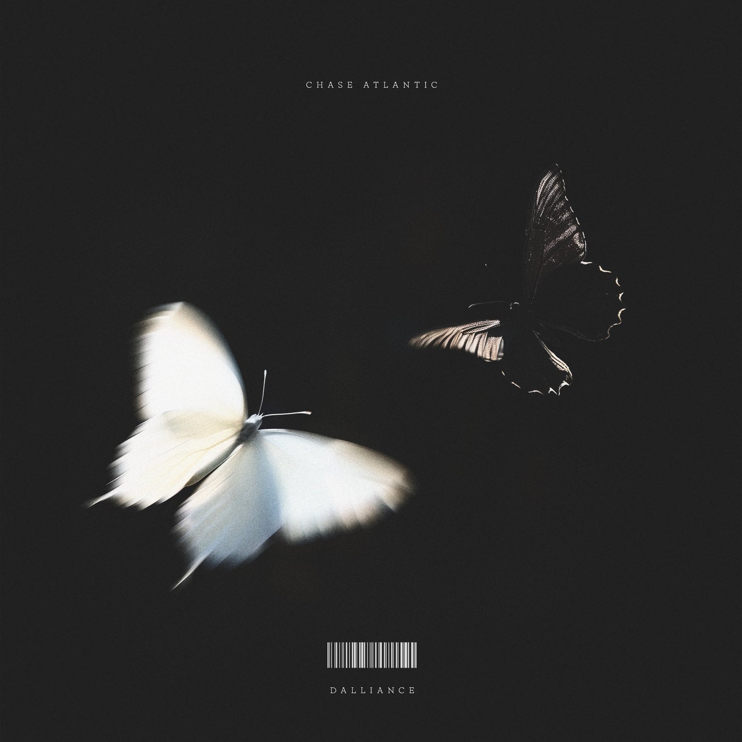 A white butterfly and a dark butterfly fly against a black background.