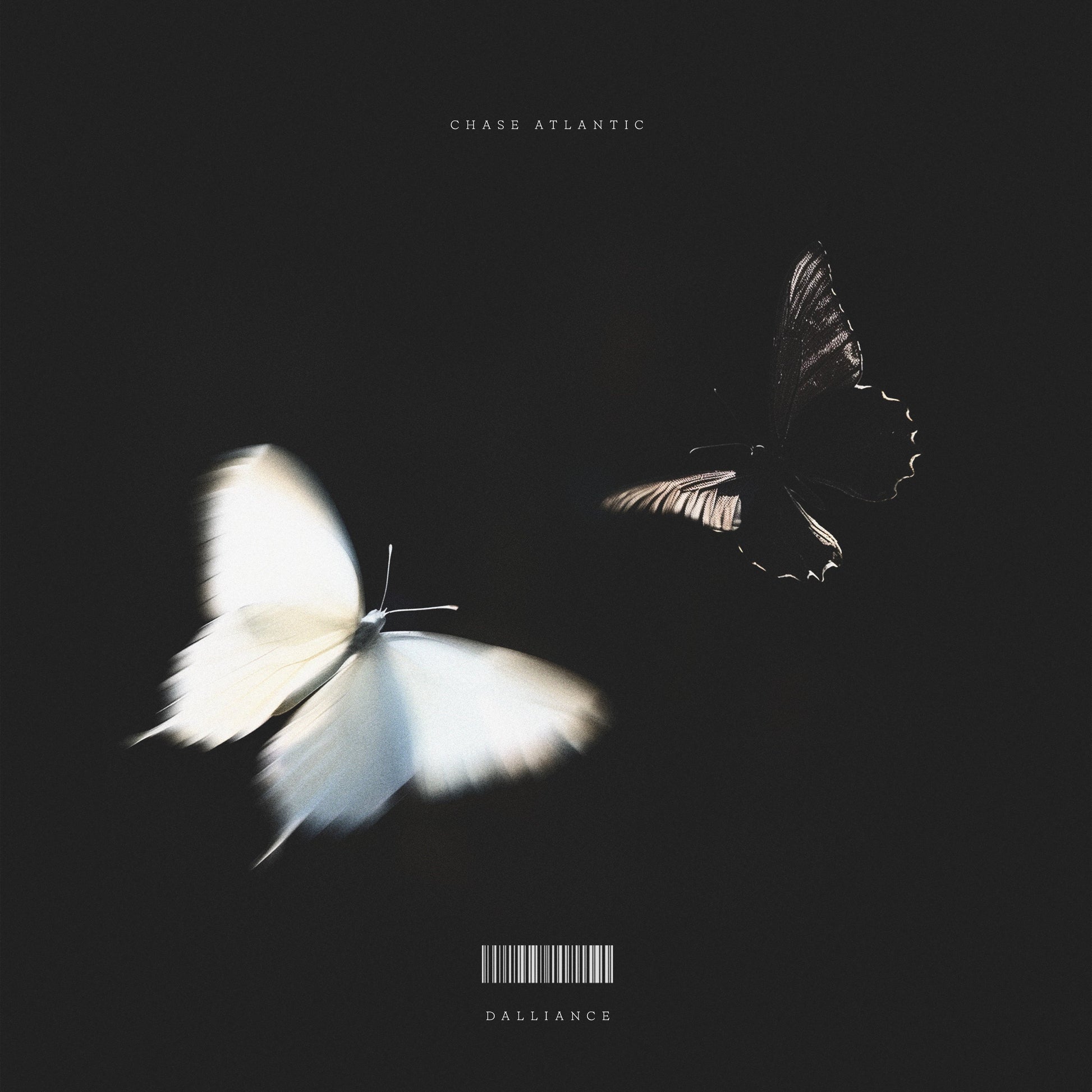 A white butterfly and a dark butterfly fly against a black background.