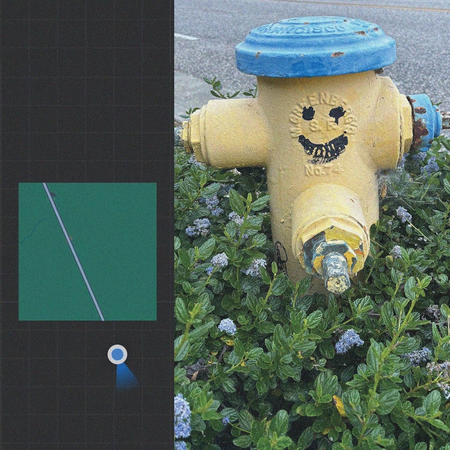 Vinyl record cover featuring a fire hydrant and abstract green shapes.