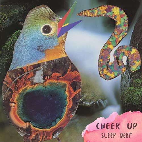 CD cover with bird illustration, colorful abstract shapes, and text.