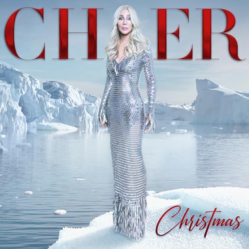 Cher poses in a silver dress against a wintry, icy landscape.