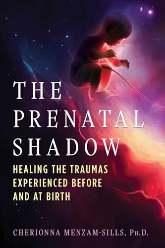 Book cover featuring a fetus floating in a dark, nebula-like space with glowing light.