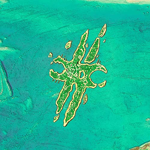 Green and yellow abstract shape on a teal background with darker streaks.
