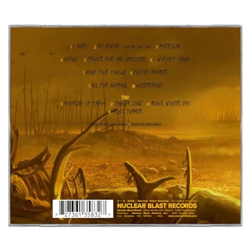 CD back cover for Children Of Bodom’s “I Worship Chaos” with a desolate landscape.