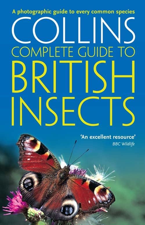 Book cover for Collins Complete Guide to British Insects featuring a peacock butterfly.
