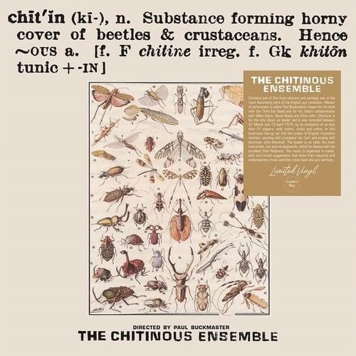 Album cover featuring a dictionary definition of chitin and a collection of insect illustrations.
