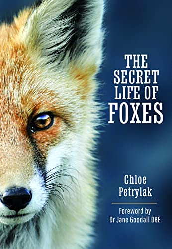 Close-up of a fox's face on a book cover titled The Secret Life of Foxes.