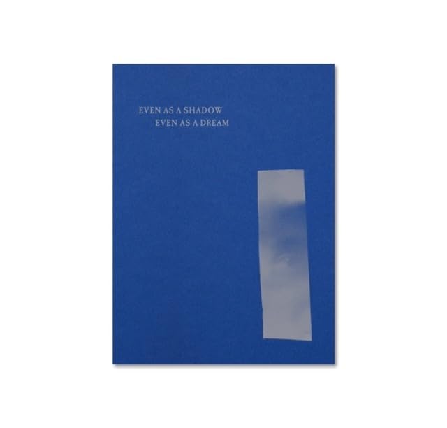 Blue book cover with white text and a cloudy white rectangle.