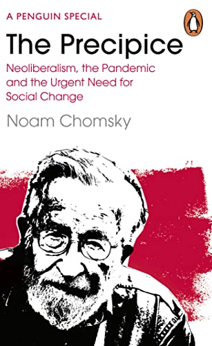 Book cover: "The Precipice" by Noam Chomsky, featuring a portrait.