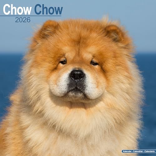 Chow Chow Calendar 2026  Square Dog Breed Wall Calendar - 16 Month