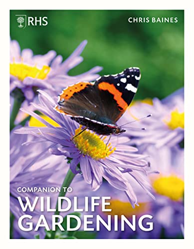 Book cover featuring a red admiral butterfly on a purple aster flower.